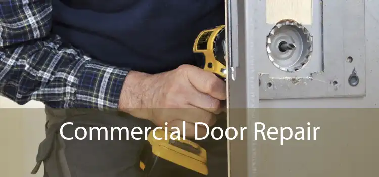 Commercial Door Repair