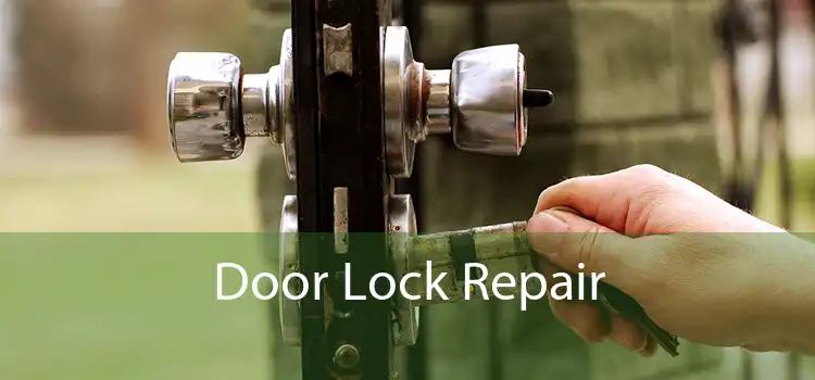 Door Lock Repair