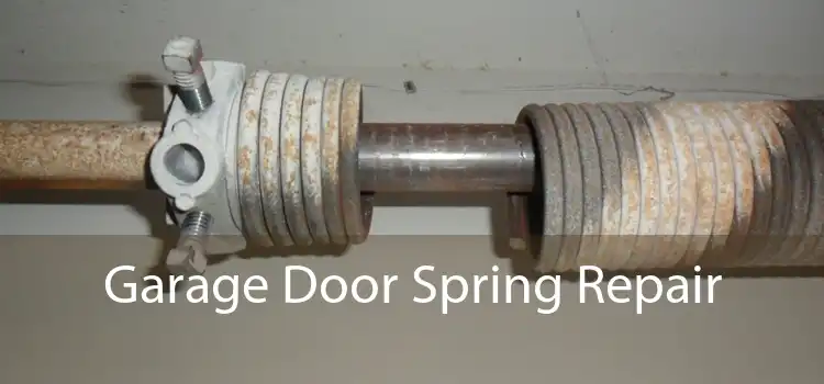 Garage Door Spring Repair