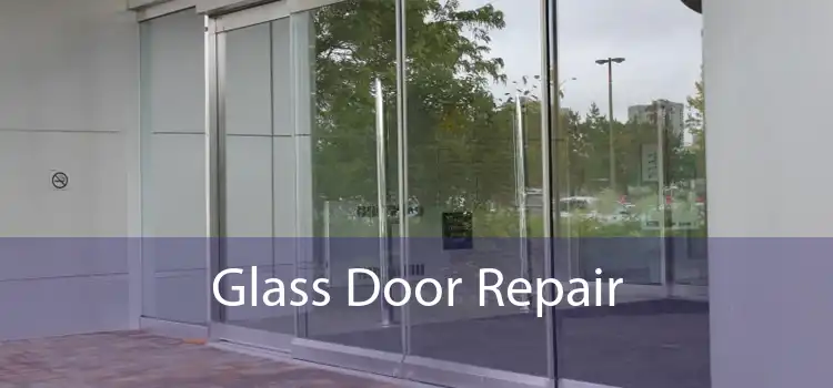 Glass Door Repair