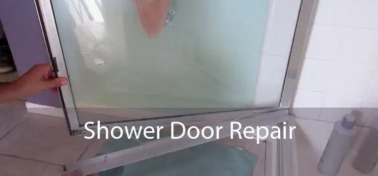 Shower Door Repair